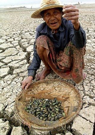 Gıda Güvenliğine Küresel Saldırı Gıda Güvenliğine Küresel Saldırı