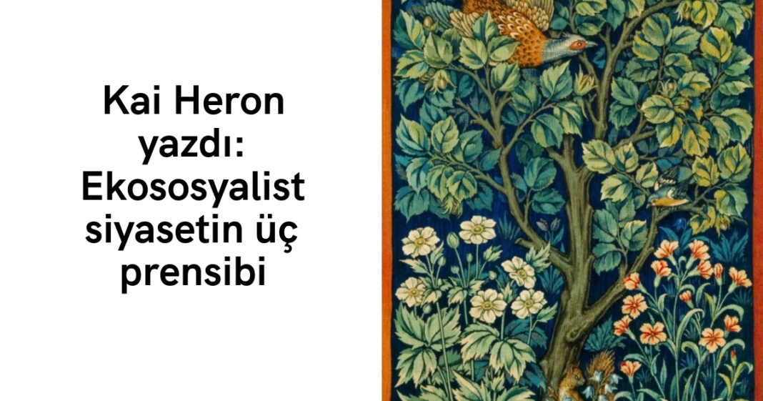 Kai Heron yazdı: Ekososyalist siyasetin üç prensibi Kai Heron yazdı: Ekososyalist siyasetin üç prensibi